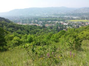 Der Bisamberg als Naherholungsgebiet: Wandern, Radfahren und Ausblick über Wien