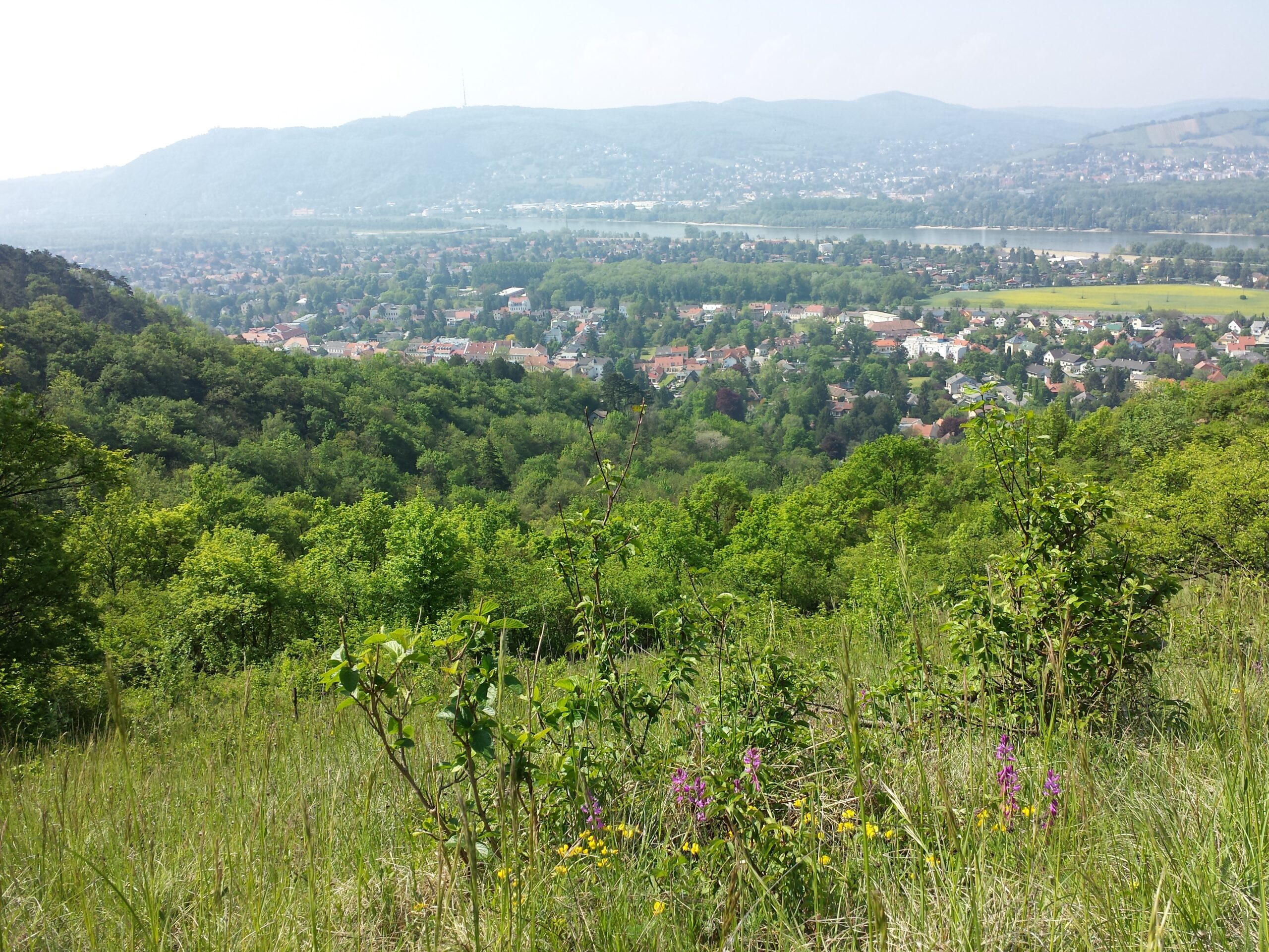 Der Bisamberg als Naherholungsgebiet: Wandern, Radfahren und Ausblick über Wien